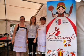 Zdjęcie 113