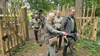 Zdjęcie 17