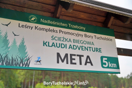 Zdjęcie 46