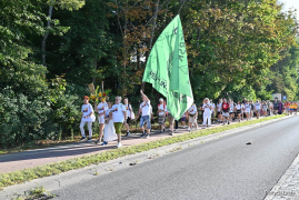 Zdjęcie 14