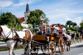 Zdjęcie 12