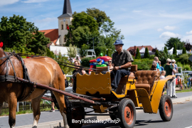 Zdjęcie 19