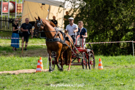 Zdjęcie 108