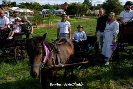 Zdjęcie 152
