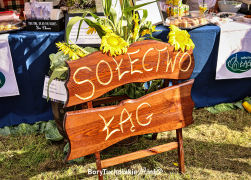 Zdjęcie 8