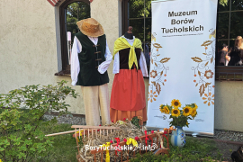 Zdjęcie 10