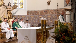 Zdjęcie 31