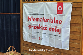 Zdjęcie 8