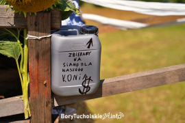 Zdjęcie 17