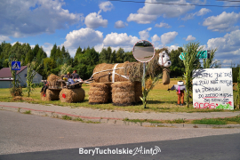 Zdjęcie 21