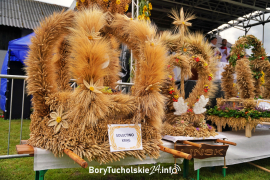 Zdjęcie 104
