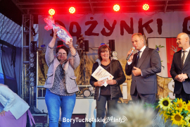 Zdjęcie 247