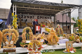 Zdjęcie 43