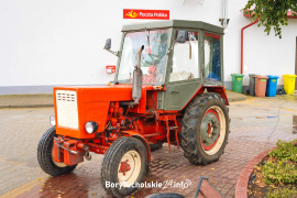 Zdjęcie 55