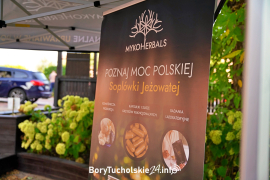 Zdjęcie 24