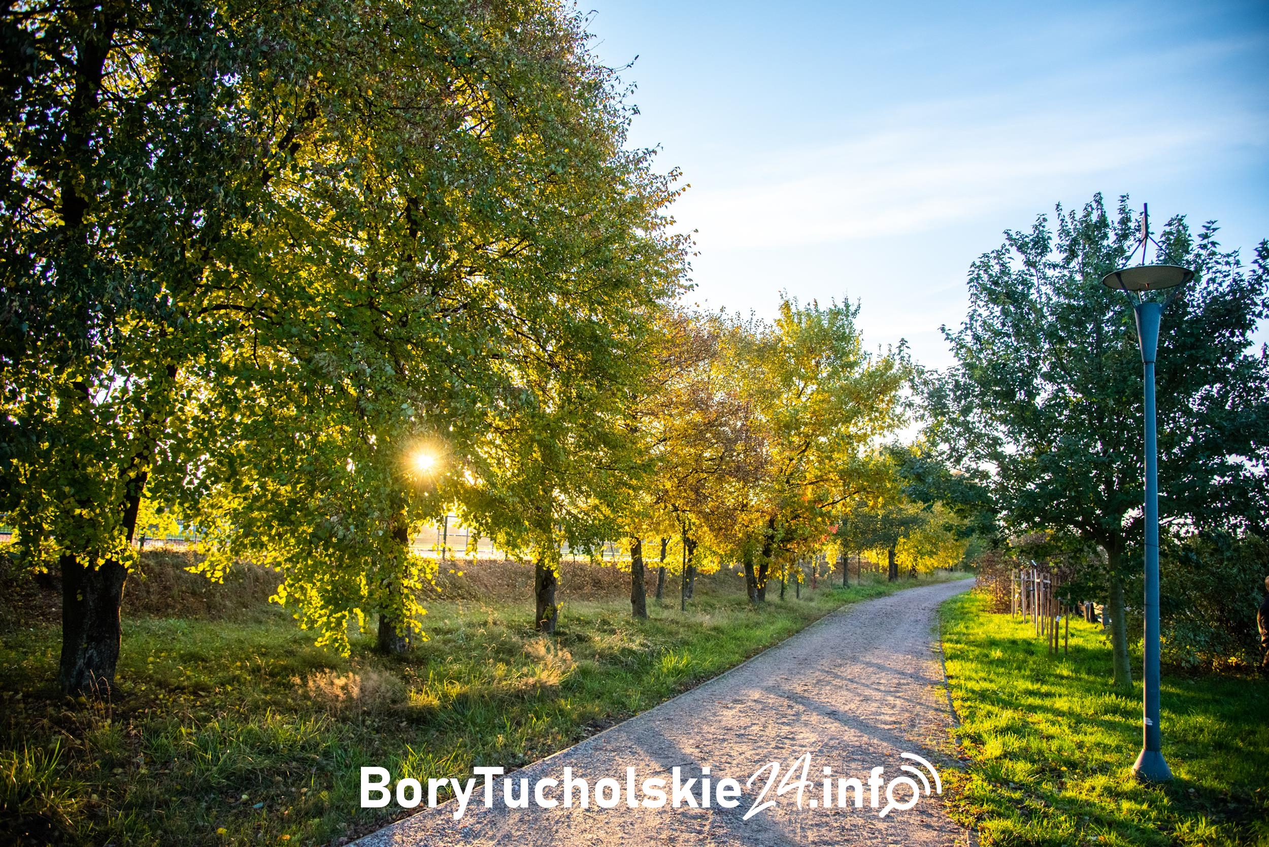 Park Borowiacki w Czersku