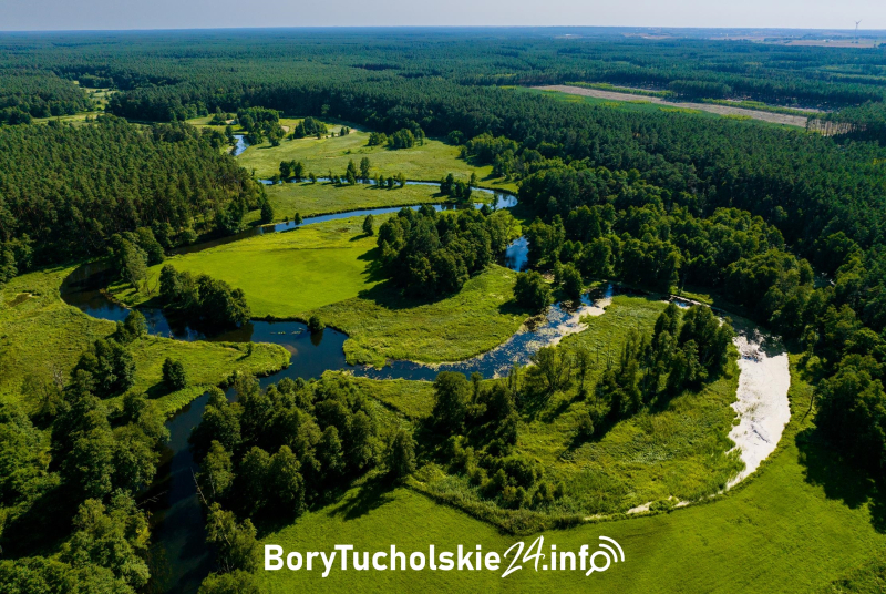 Rezerwat przyrody „Dolina Rzeki Brdy”